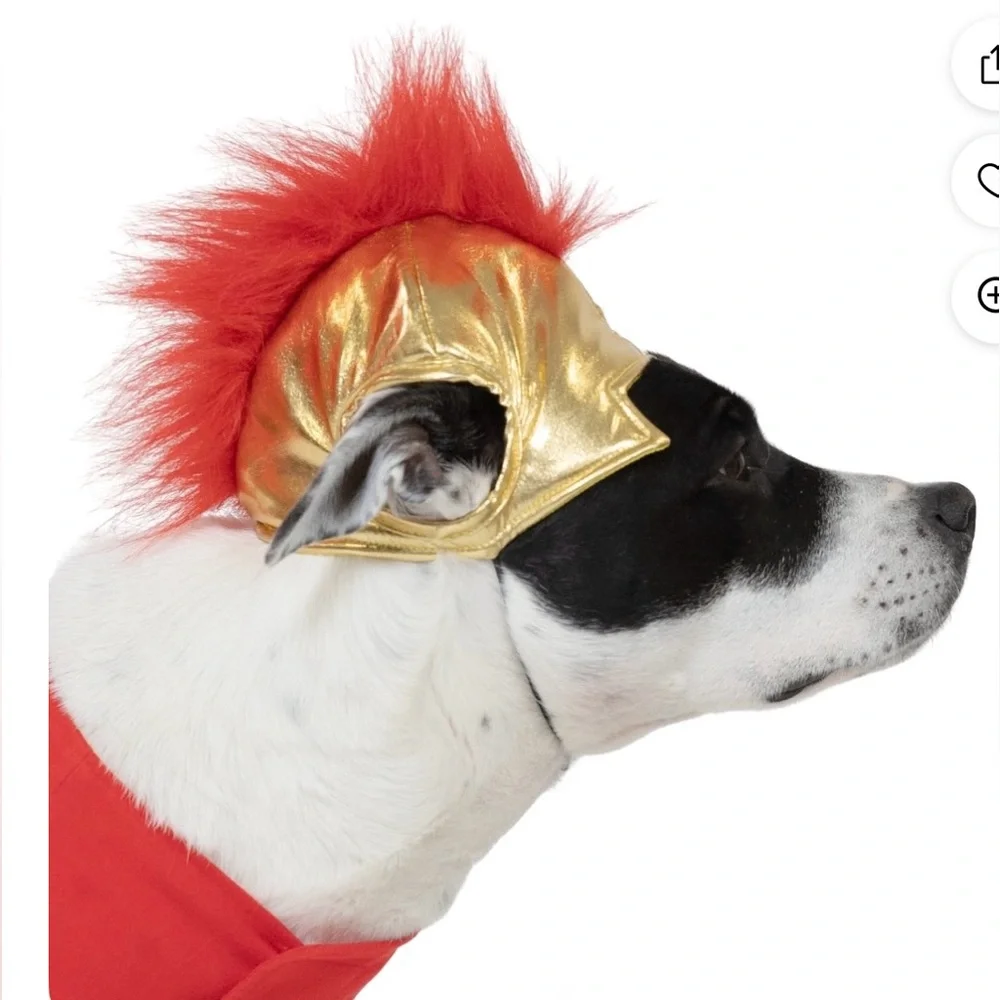 Vibrant Roman Warrior Dog Costume‎ - Red and Gold